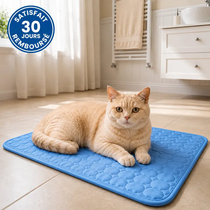 Poilune Tapis rafraîchissant pour chat