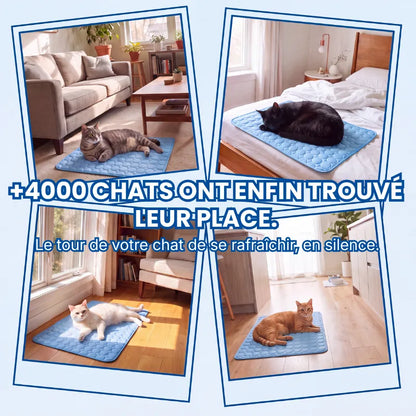 Poilune Tapis rafraîchissant pour chat