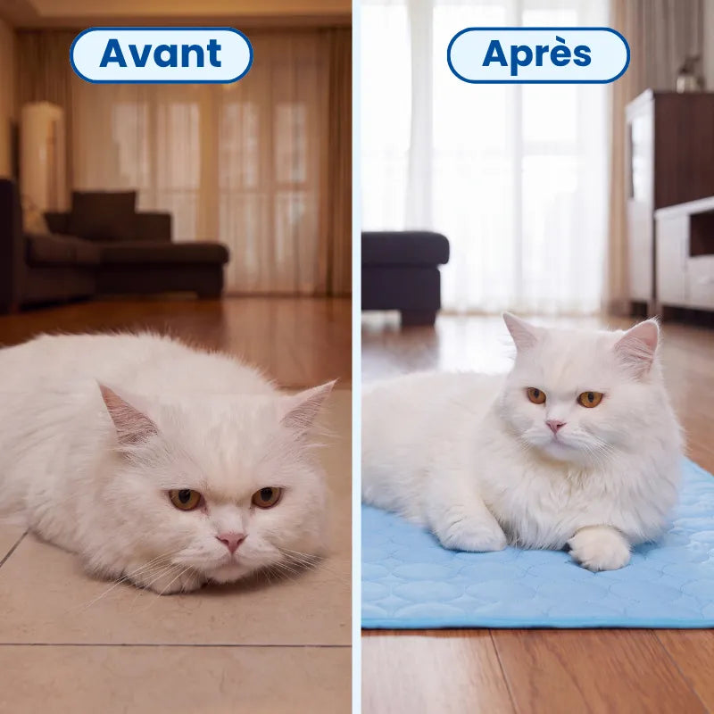 Poilune Tapis rafraîchissant pour chat