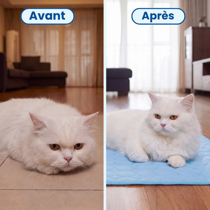 Poilune Tapis rafraîchissant pour chat