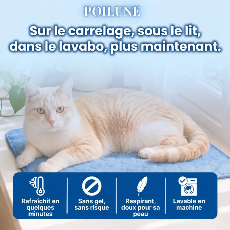 Poilune Tapis rafraîchissant pour chat