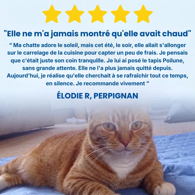 Poilune Tapis rafraîchissant pour chat