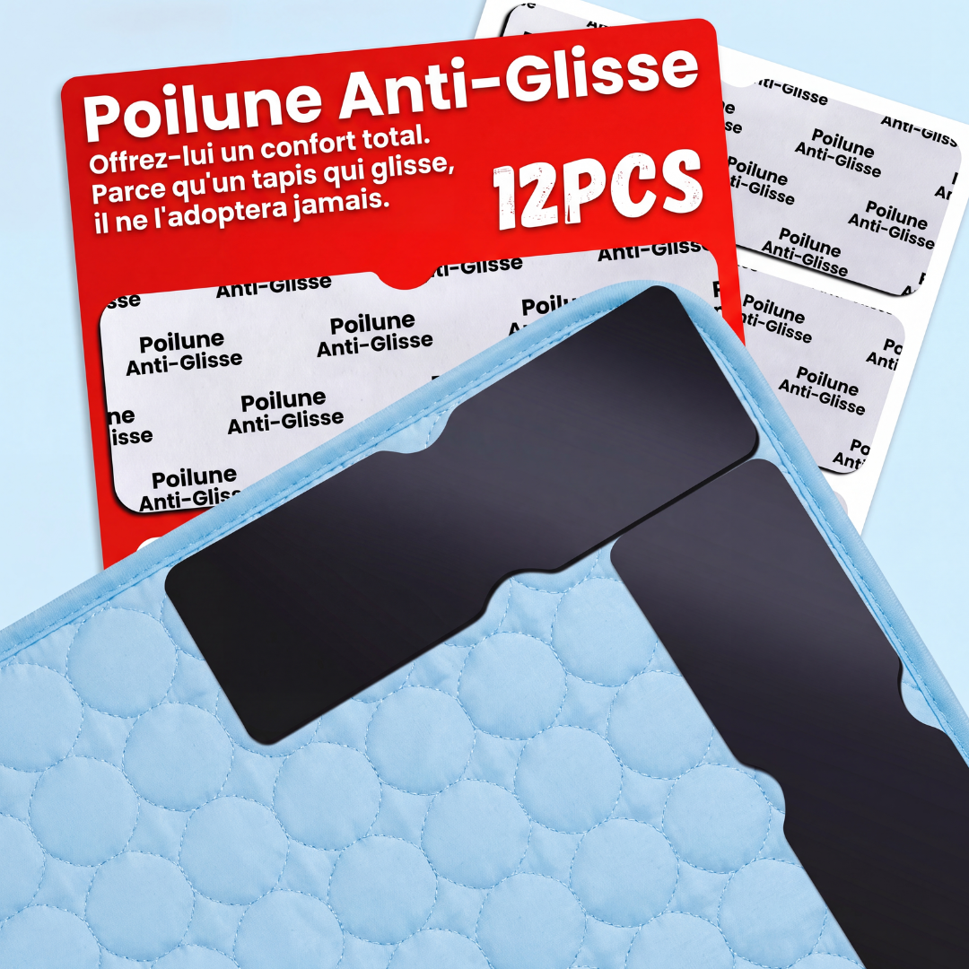 Poilune Plaque Anti-Glisse x12