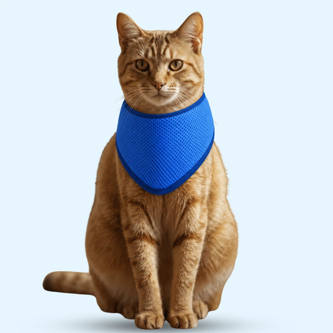 bandana rafraîchissant